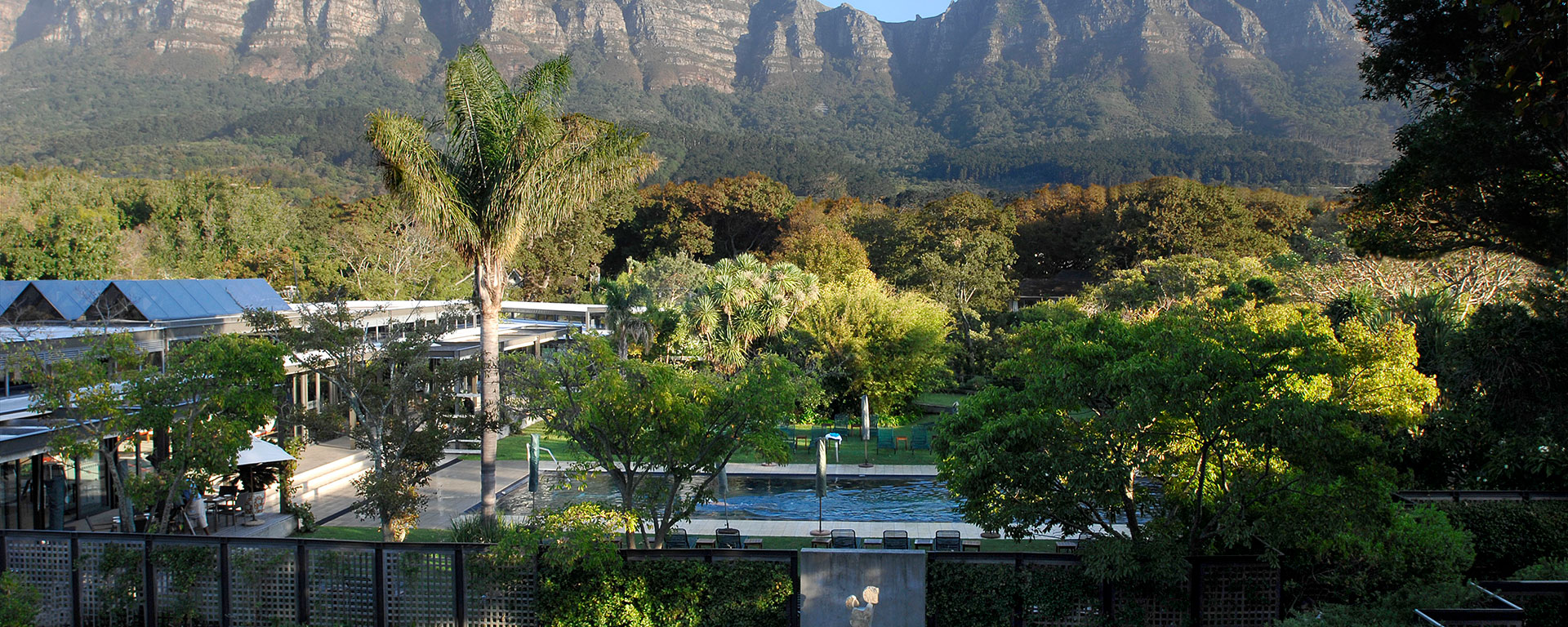 The Vineyard looks out onto the craggy peaks that make up Table Mountain National Park.