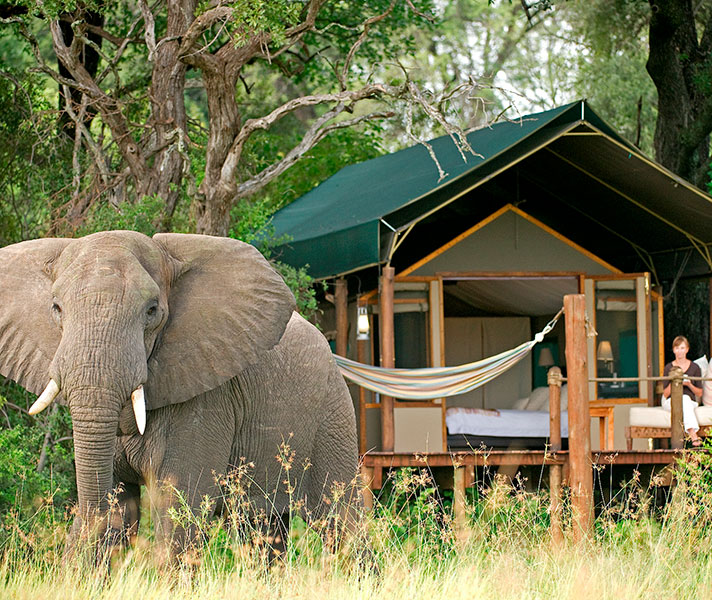 The intimate Stanley's Camp is situated in a private concession in the wildlife-rich Okavango Delta.