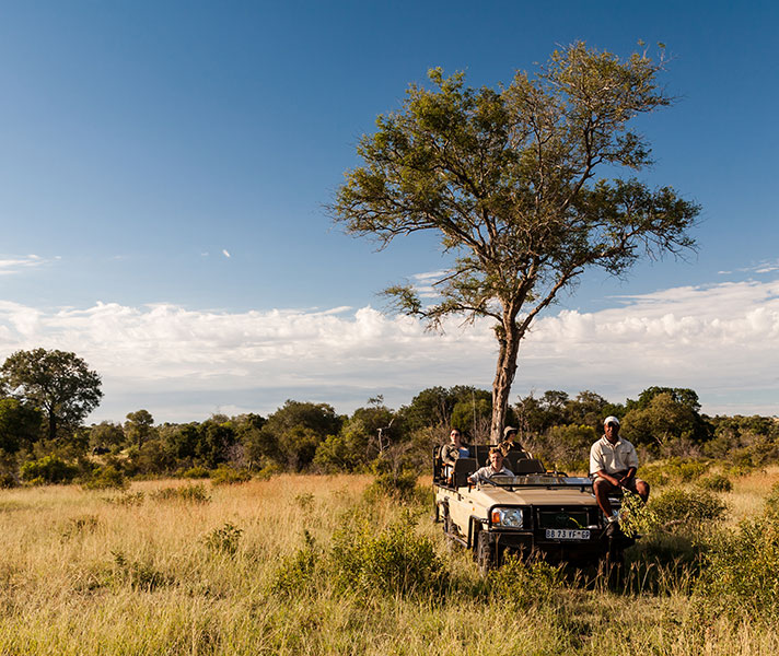 A classic Kruger scene at Tintswalo Safari Lodge: grassland broken up with dense thicket and plenty of trees.