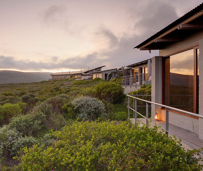 Enjoy some of the best views of the Whale Coast's Walker Bay from Grootbos.
