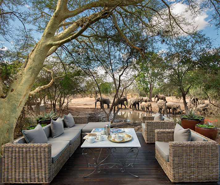 Nature is never far away at Ngala, with coffee and tea served in an outdoor lounge overlooking a waterhole.