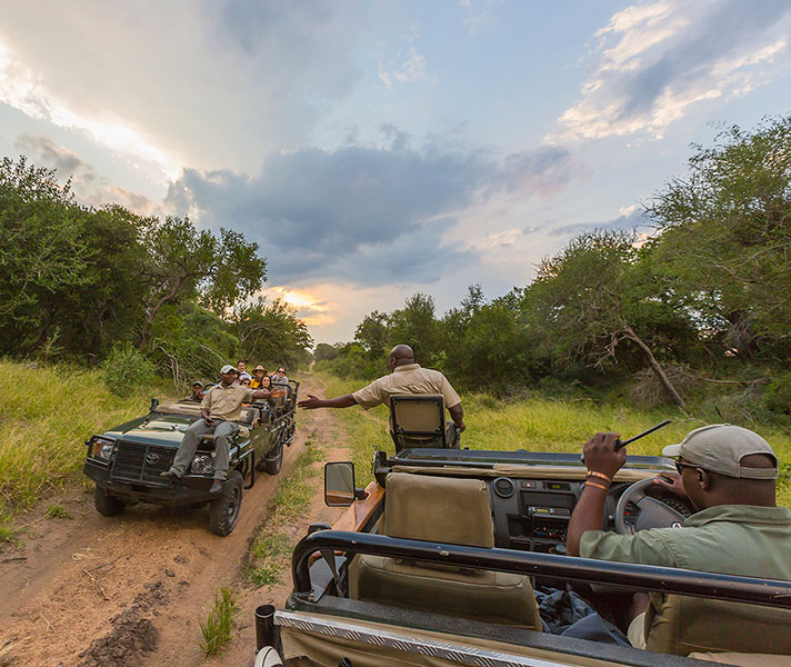 Game viewing in Thornybush ranks as some of the best in Southern Africa.