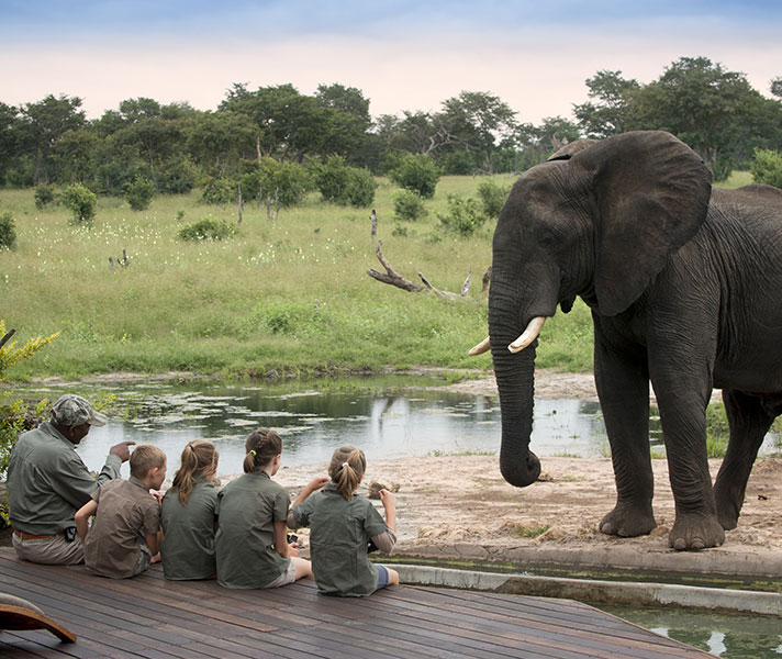 Somalisa Acacia is a firm favourite for a family safari in Zimbabwe.