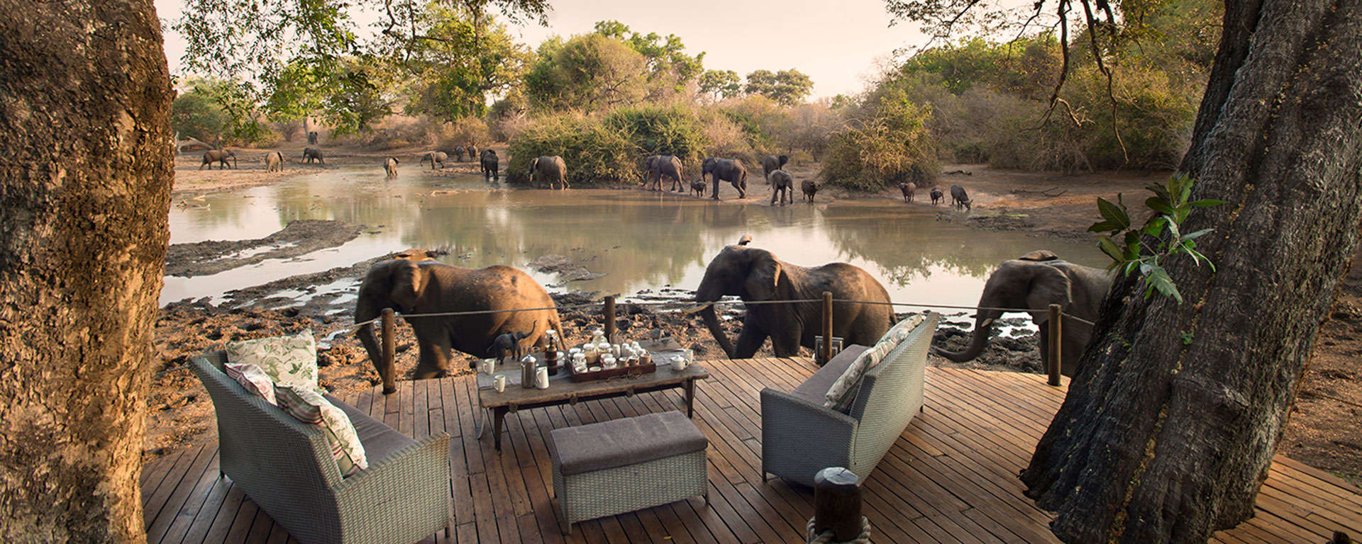 Overlooking a permanent water pan, Kanga Camp is ideal for an 'armchair safari' experience.