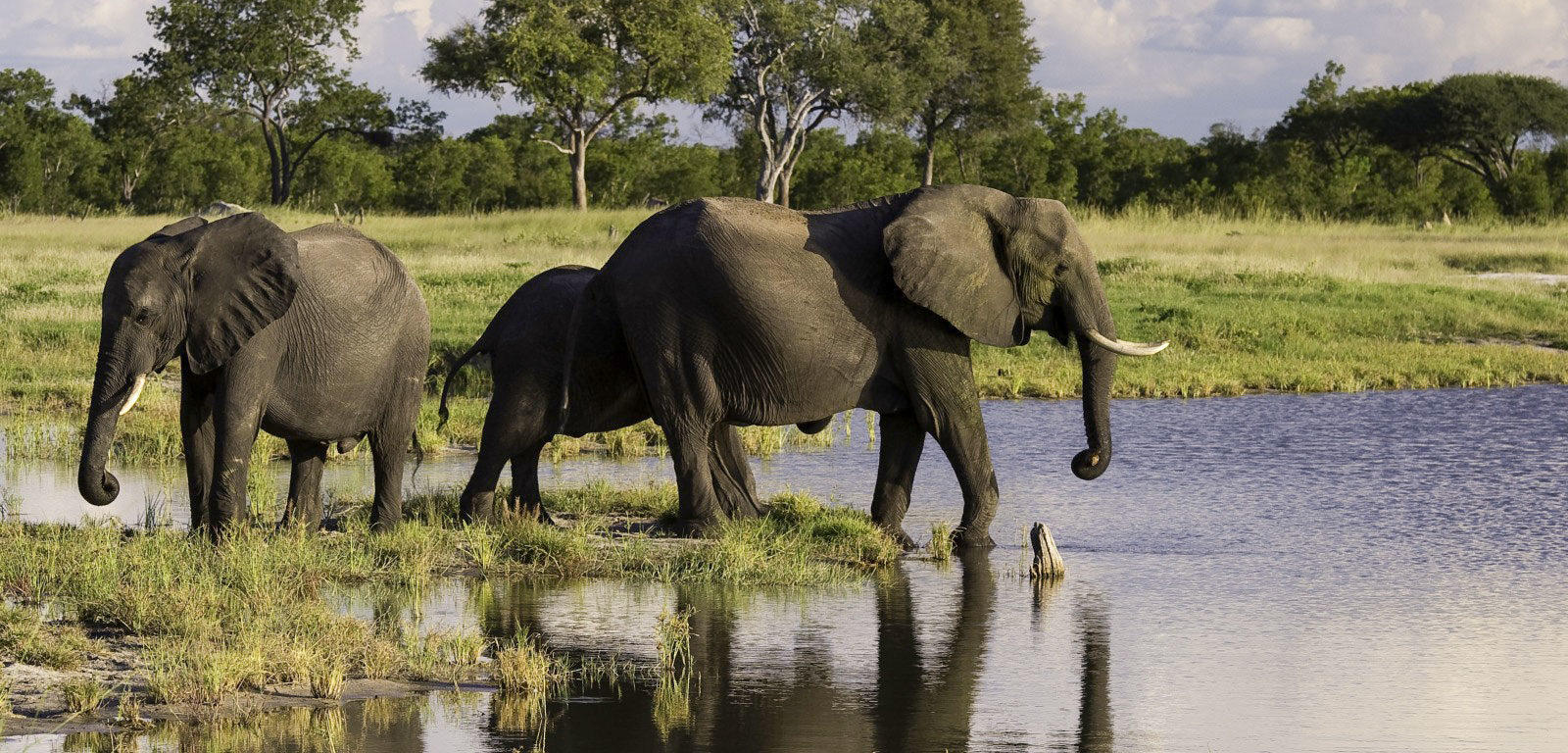 Little Makalolo is one of only a few safari camps in Hwange National Park.