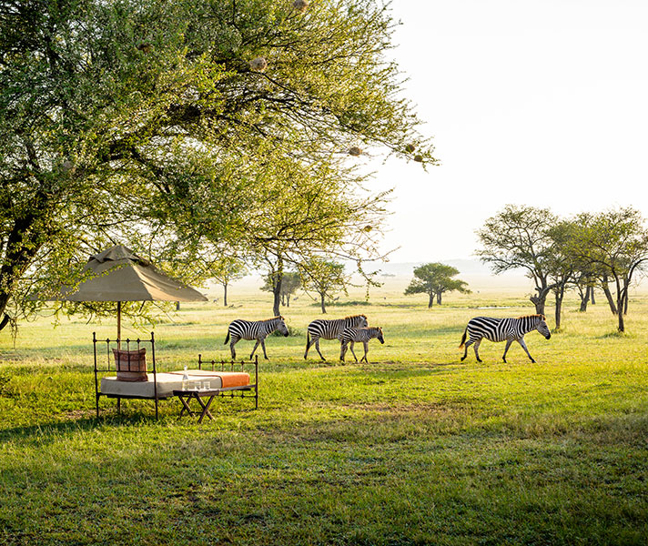 Travel back to a romantic, bygone era of safari at Singita Sabora.