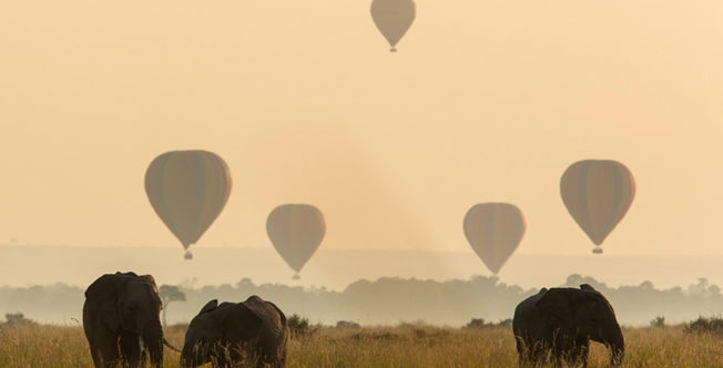AngamaMara_Activity_BalloonSafari