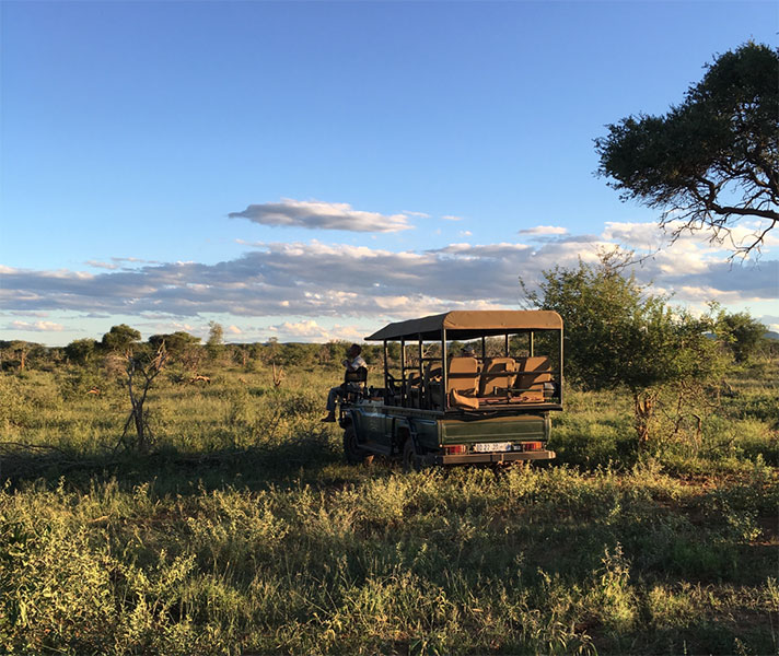 An afternoon game drive in Madikwe.
