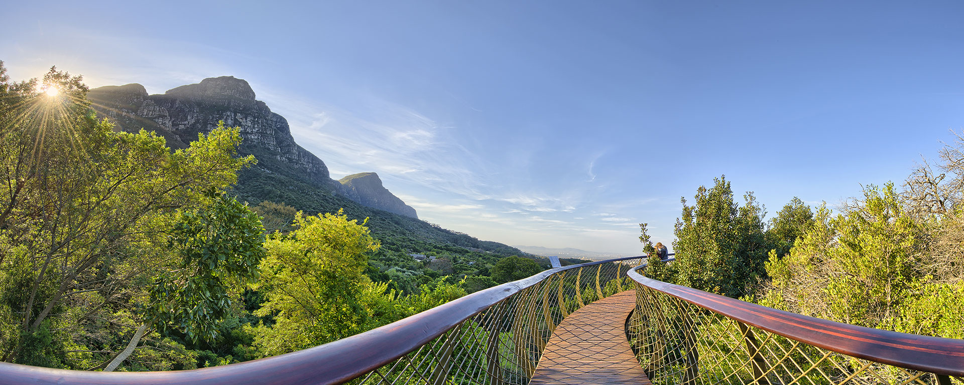 The Boomslang ('tree snake') is a sinuous walkway just above the tree canopy in Kirstenbosch that gives you a wonderful view of the back Table Mountain.