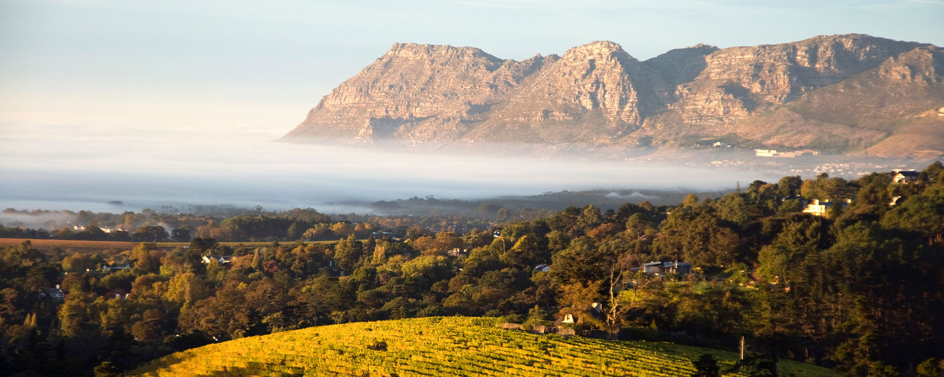 The Constantia Winelands are the oldest in the country and benefit from cooling breezes off the ocean.
