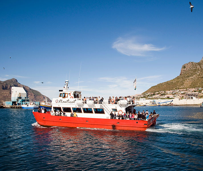 Hout Bay Harbour is the departure point for some marine excursions to Seal Island or sunset cruises.
