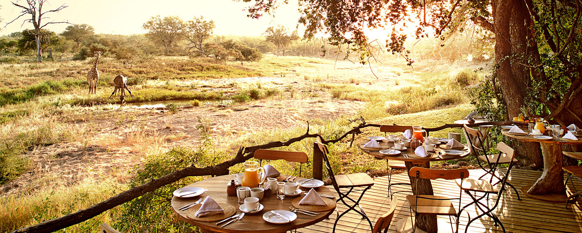 You never know what you’re going to spot at the waterhole while having breakfast at Motswari Geiger’s Camp.