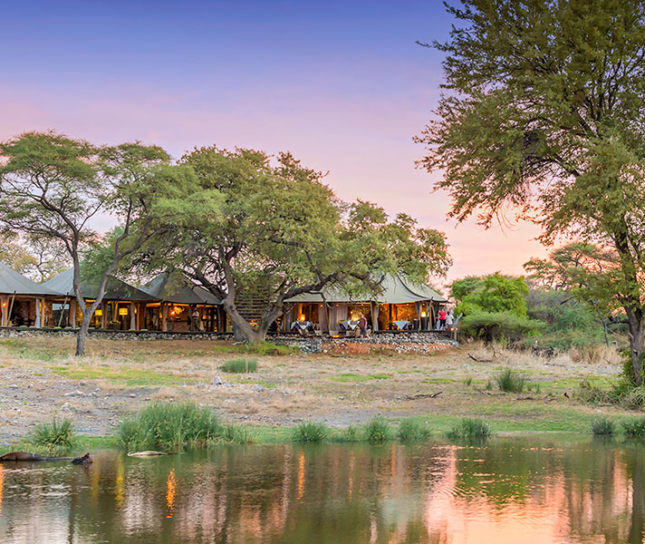 Days 2-3 Onguma Tented Camp in Etosha National Park