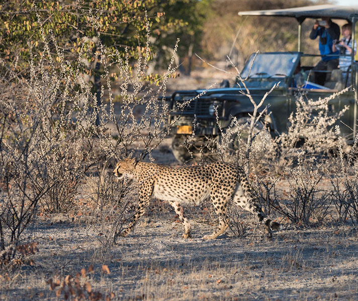 Days 13-16 Ongava Tented Camp at Etosha National Park