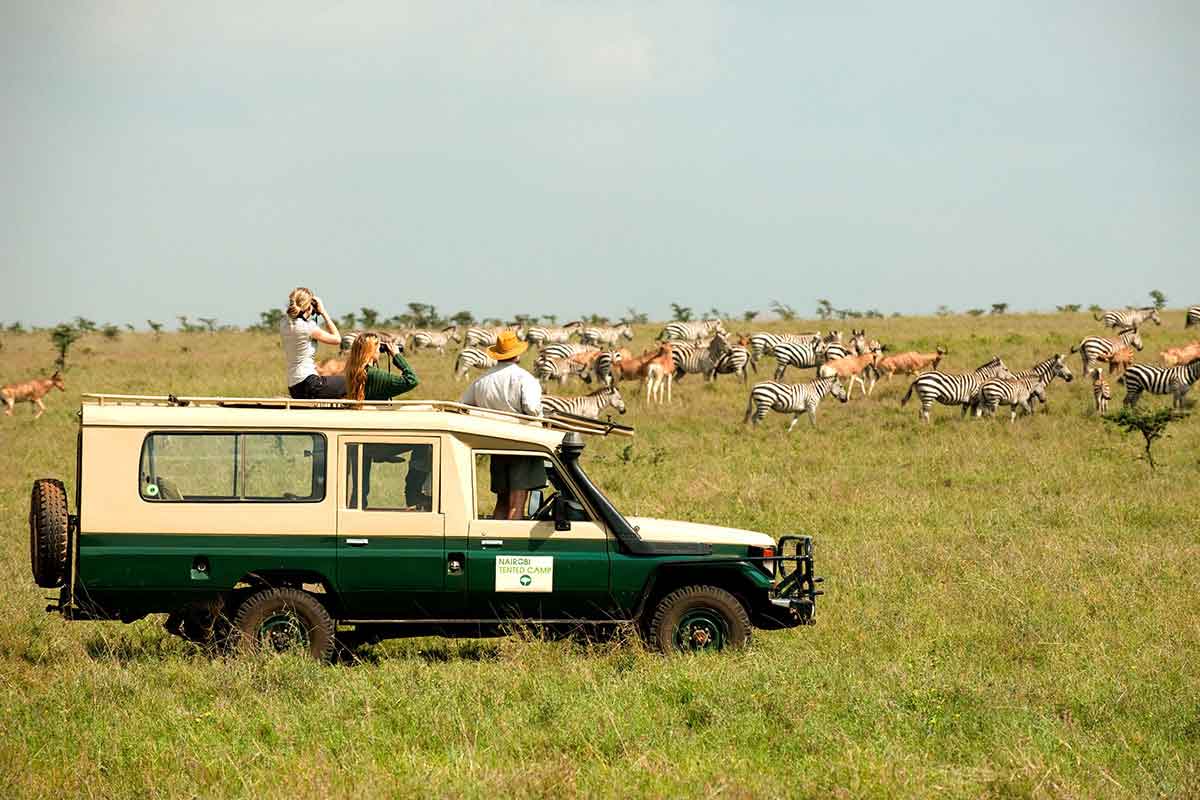 Enjoy easy game viewing in Nairobi National Park