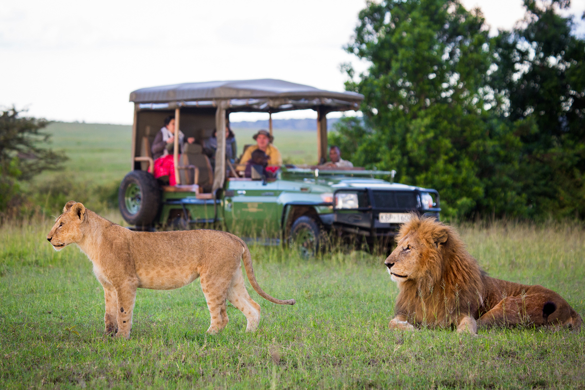 scenic safaris tours