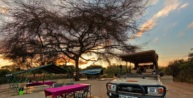 Adventure_Camp_Selenkay_gamedrive