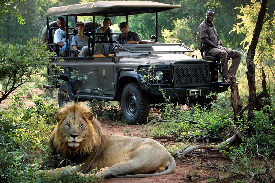 Group on game drive spot lion in Kruger National Park & Reserves | South African Safari | Go2Africa