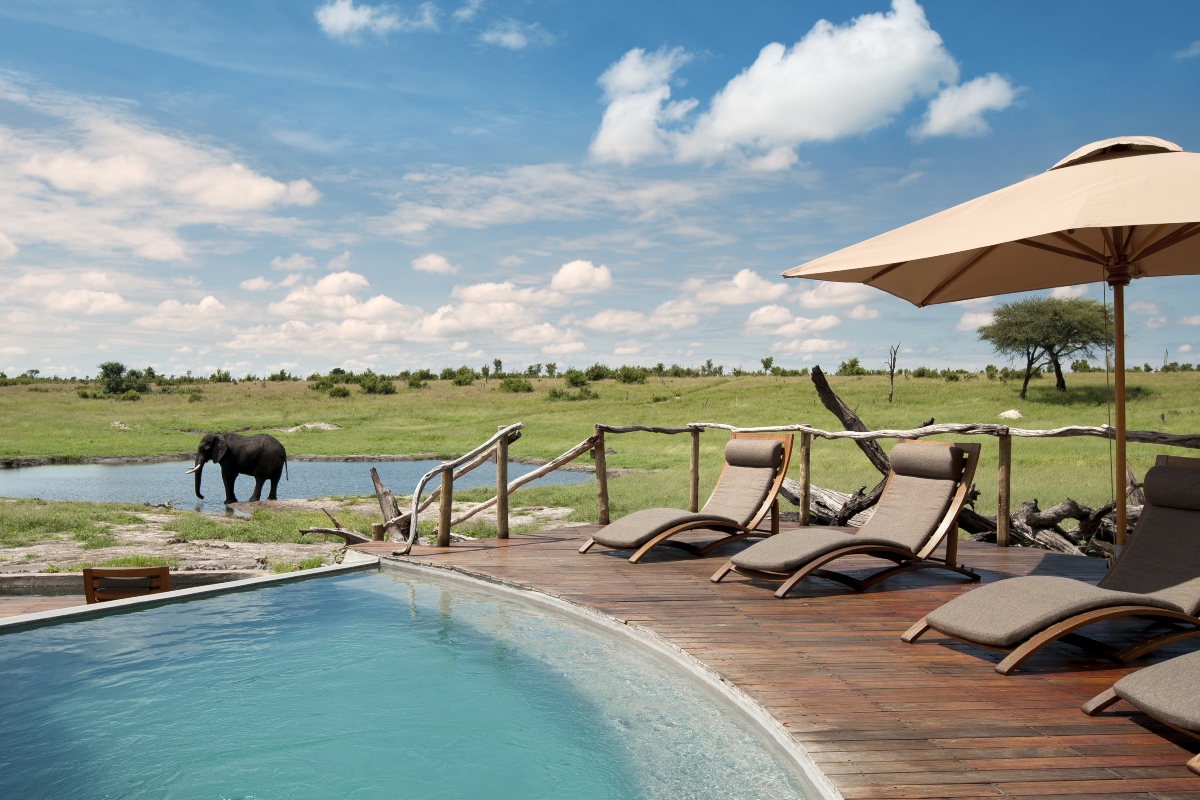 hwange safari tour