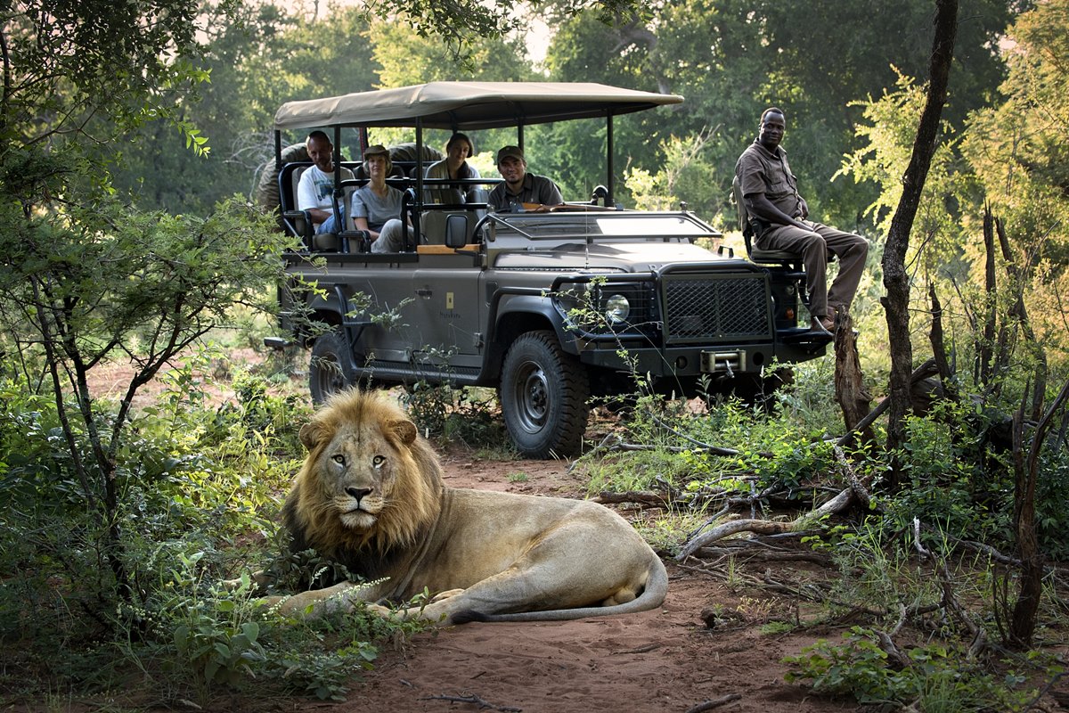 south africa day safari