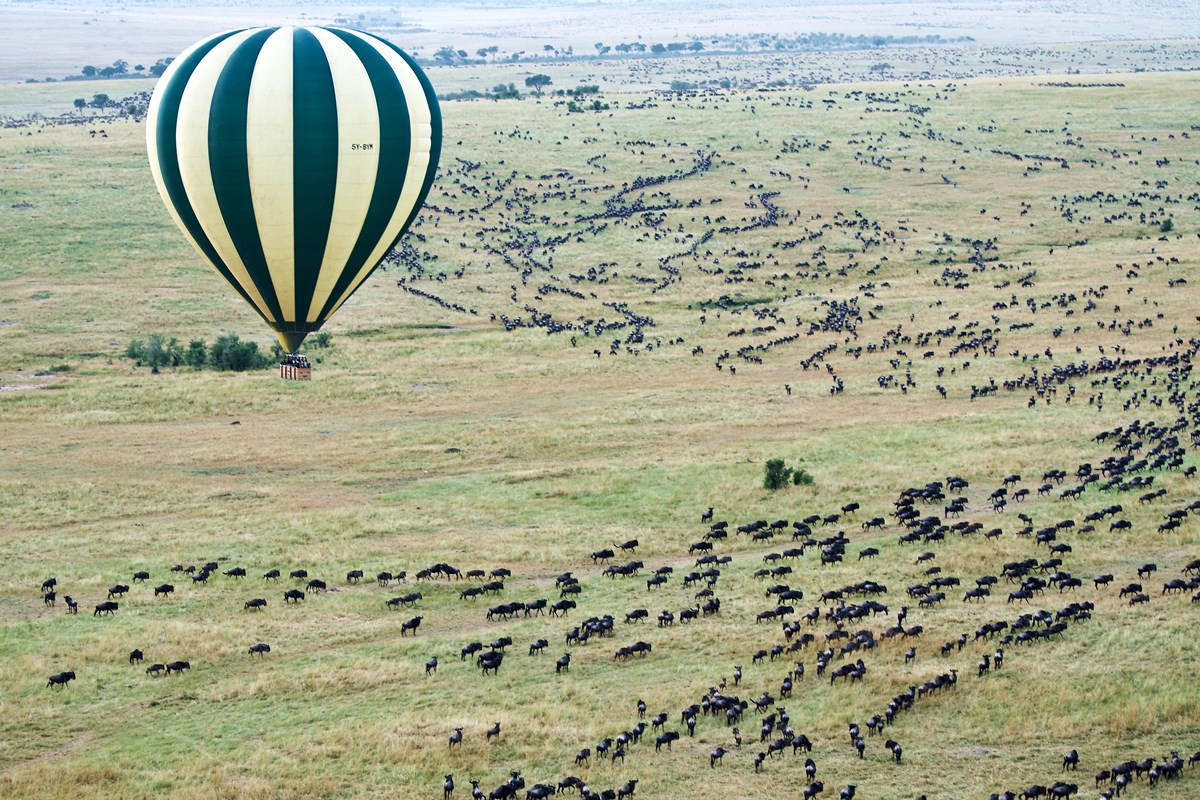 Hot-air balloon safari over the Masai Mara National Reserve