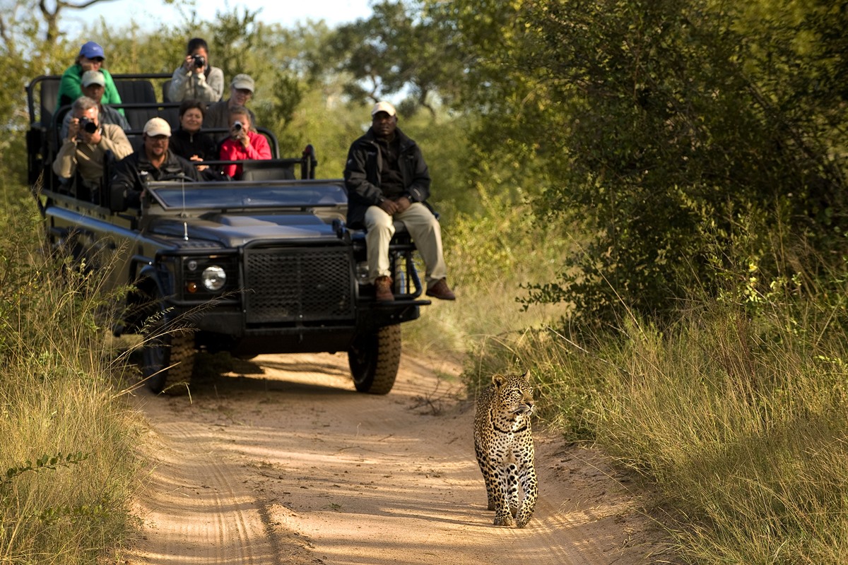 Park Kruger Private