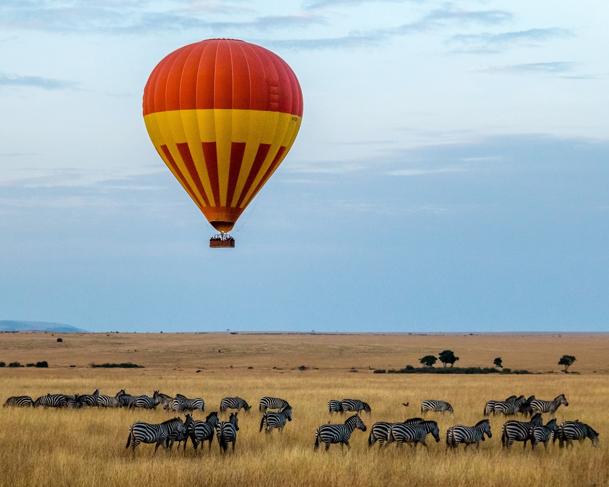 Hot-air balloon ride over herd of zebra grazing in the Masai Mara | Kenya Safari | Go2Africa