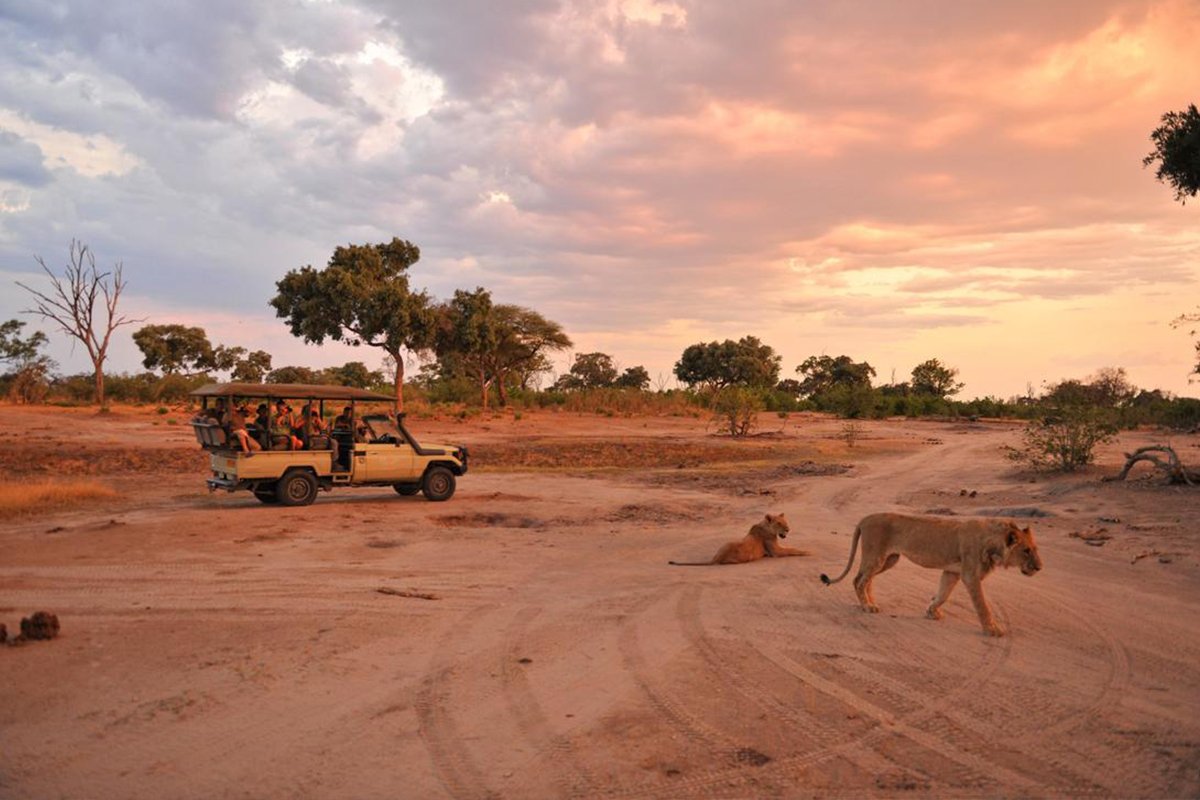 10 Best Zimbabwe Safari Tours