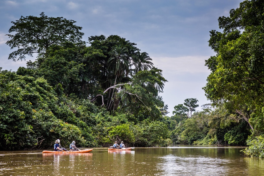 Kayaking in Odzala-Kokoua National Park, Congo | Go2Africa