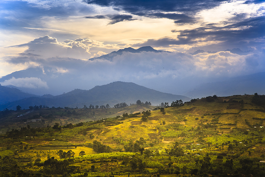 Landscape shot of the Rwenzori Mountains in Rwenzori Mountains National Park, Uganda.