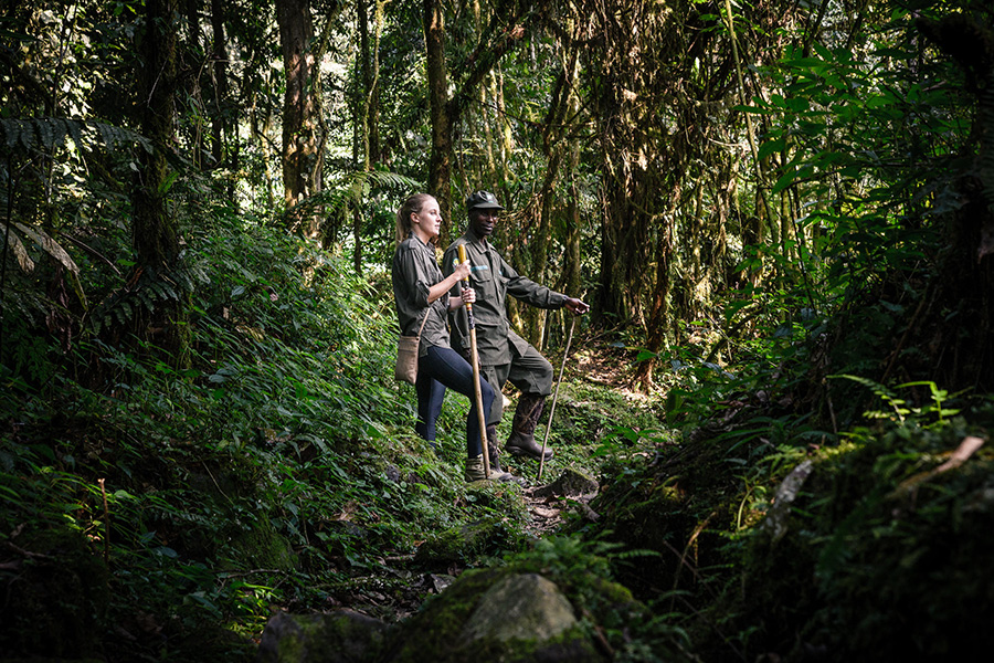 Woman and guide on a gorilla trek in Bwindi Impenetrable Forest National Park, Uganda.