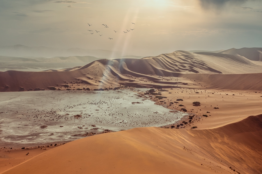 Dunes in the Namib Desert, Namibia | Go2Africa