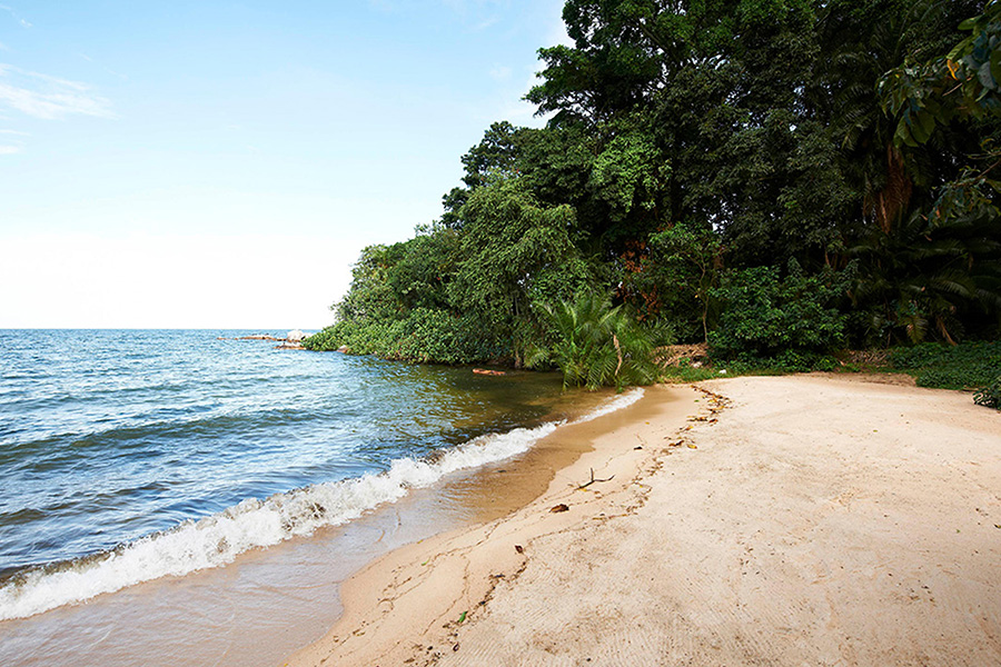 Pristine beach in Rubondo National Park, Tanzania.