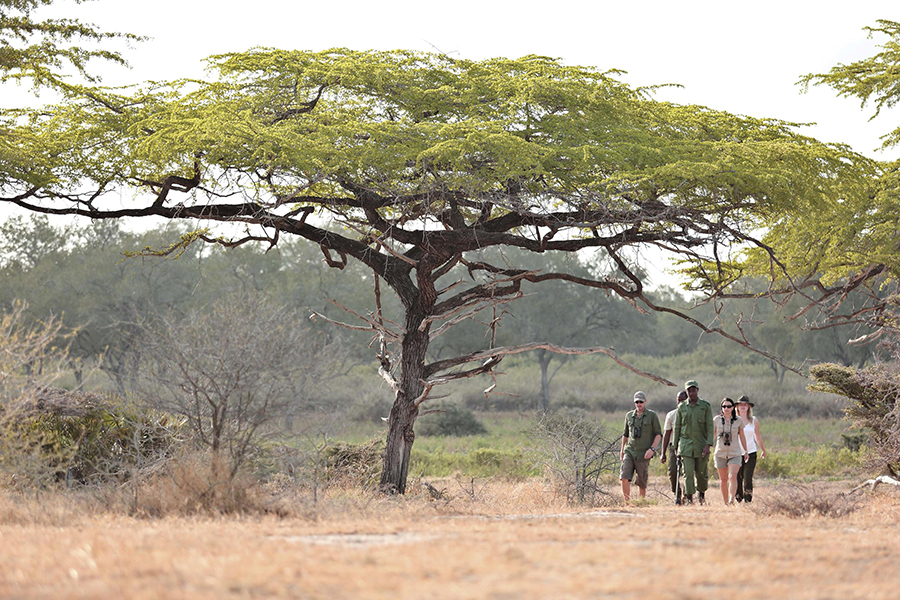 Walking safaris in Nyerere National Park, Tanzania | Go2Africa