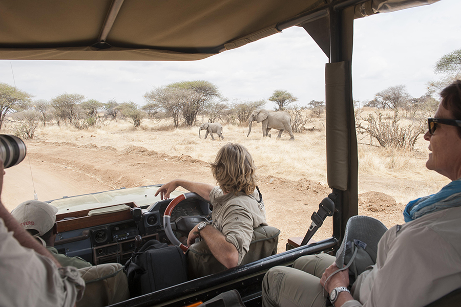 Game drives in Tanzania | Go2Africa