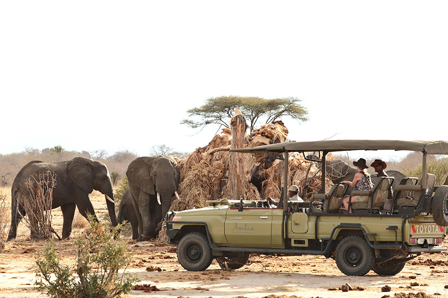 Game drives in Ruaha National Park, Tanzania